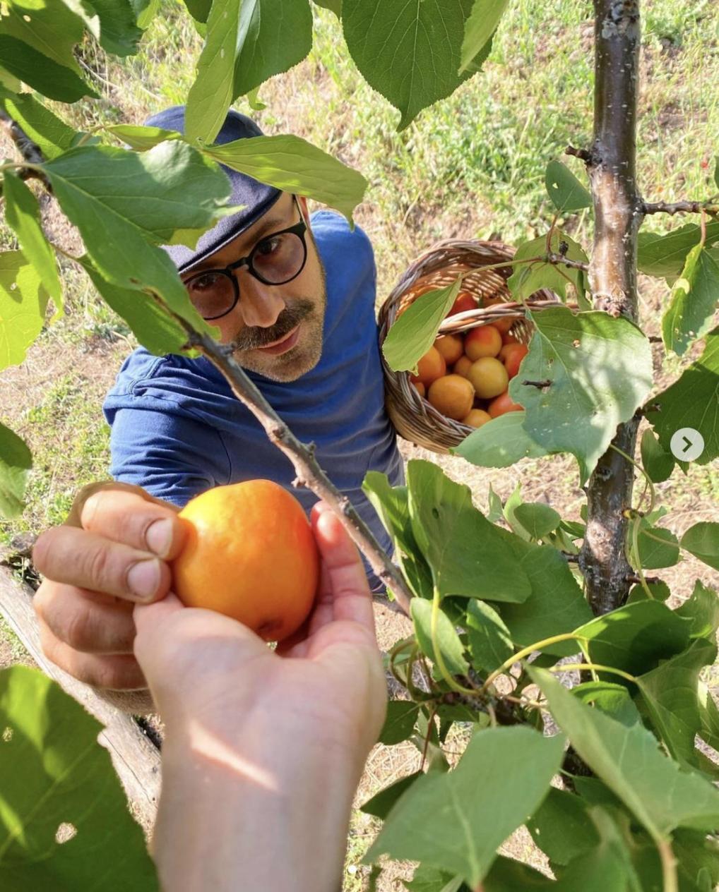 Agriturismo Il Riccio مونتيكيو المظهر الخارجي الصورة