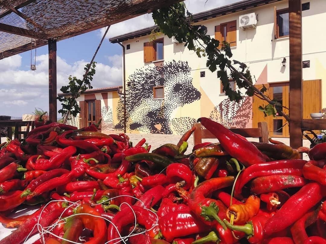 Agriturismo Il Riccio مونتيكيو المظهر الخارجي الصورة