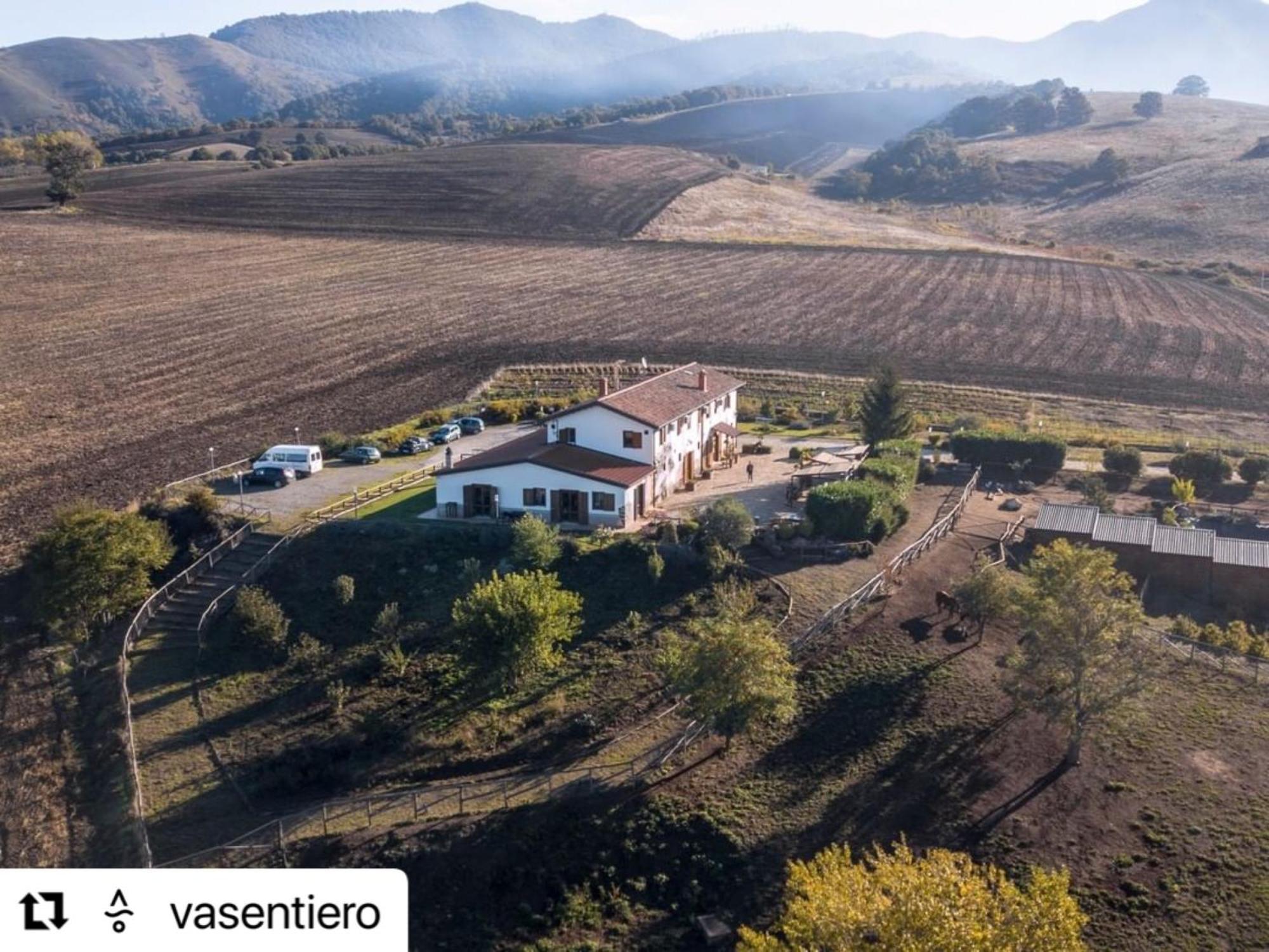 Agriturismo Il Riccio مونتيكيو المظهر الخارجي الصورة