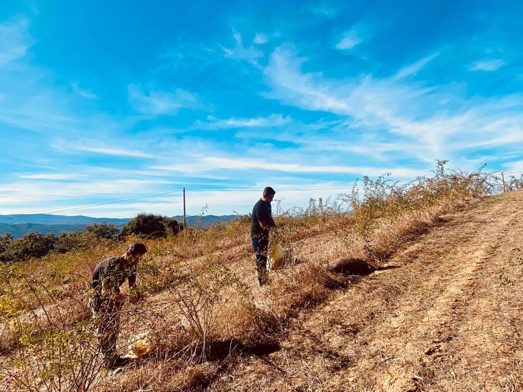 Agriturismo Il Riccio مونتيكيو المظهر الخارجي الصورة