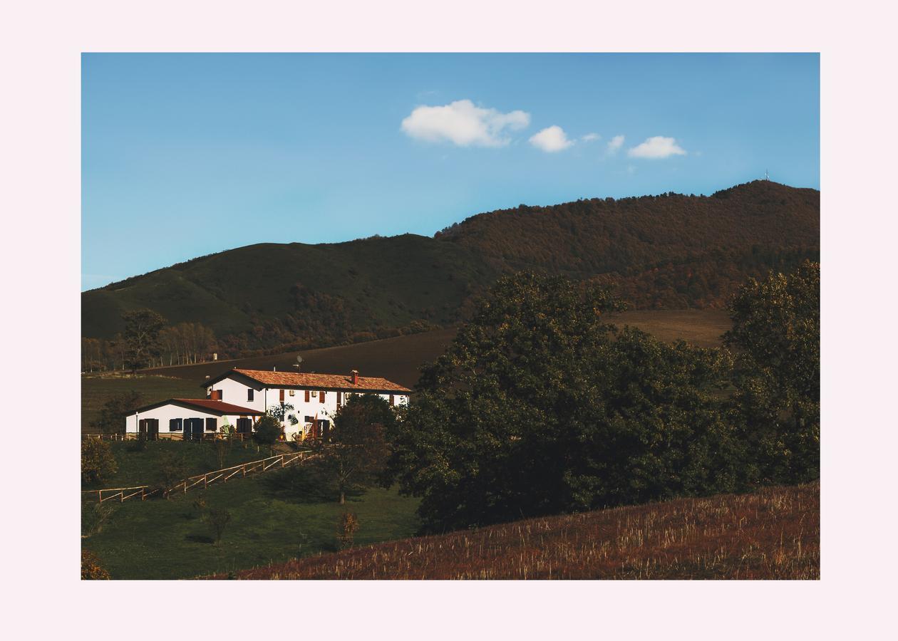 Agriturismo Il Riccio مونتيكيو المظهر الخارجي الصورة