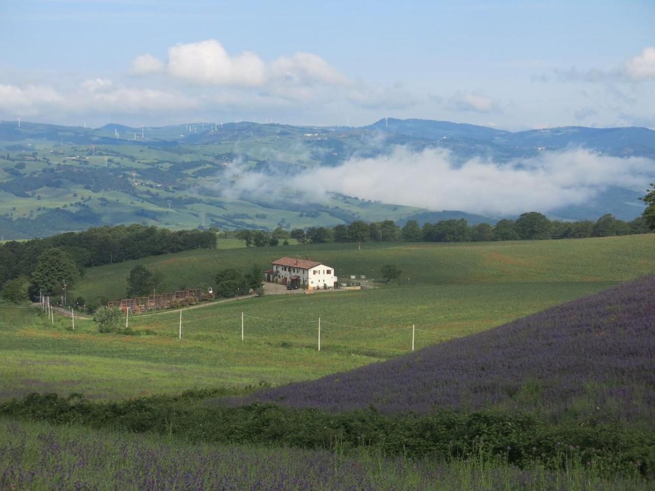 Agriturismo Il Riccio مونتيكيو المظهر الخارجي الصورة