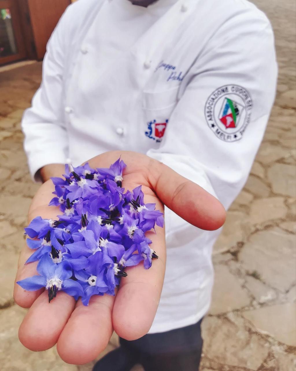 Agriturismo Il Riccio مونتيكيو المظهر الخارجي الصورة